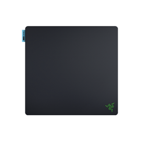 Razer Gigantus V2 Pro - Control - Black
