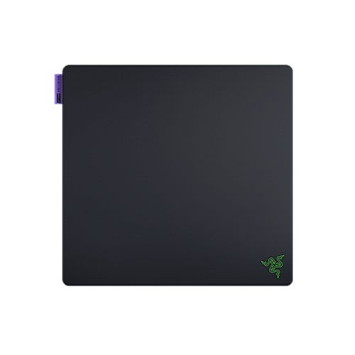 Razer Gigantus V2 Pro - Max Control - Black
